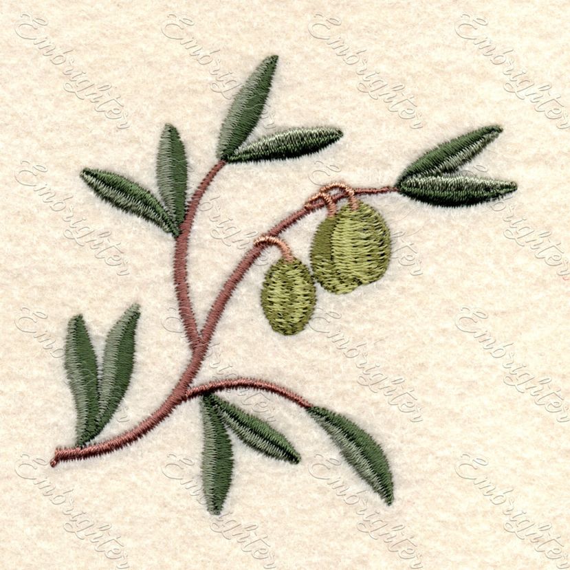 Olive branch embroidery design in two sizes