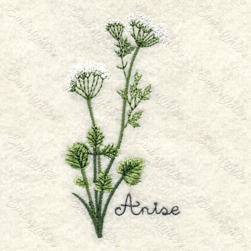Machine embroidery design. Real looking anise in two sizes.