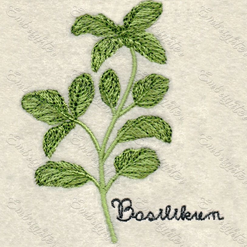 Basilikum Kräuter embroidery design small ( in German )