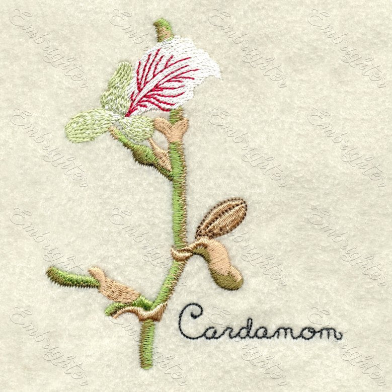 Machine embroidery design. Real looking cardamom in two sizes.