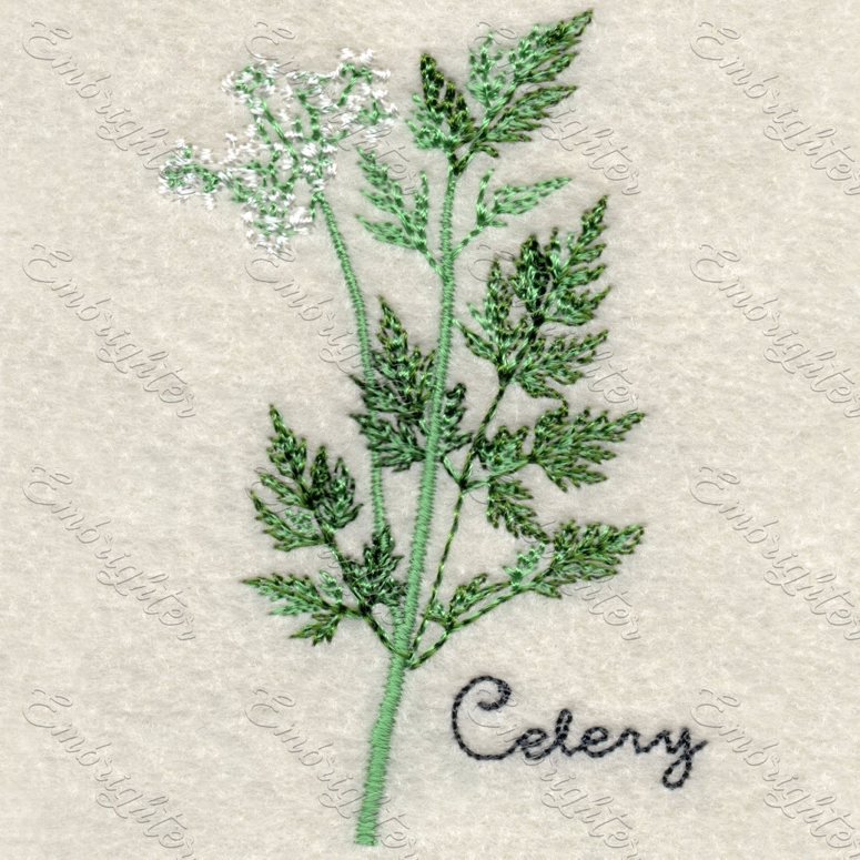 Machine embroidery design. Real looking celery in two sizes. 