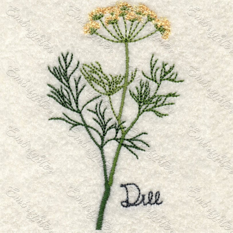 Machine embroidery design. Real looking dill in two sizes.
