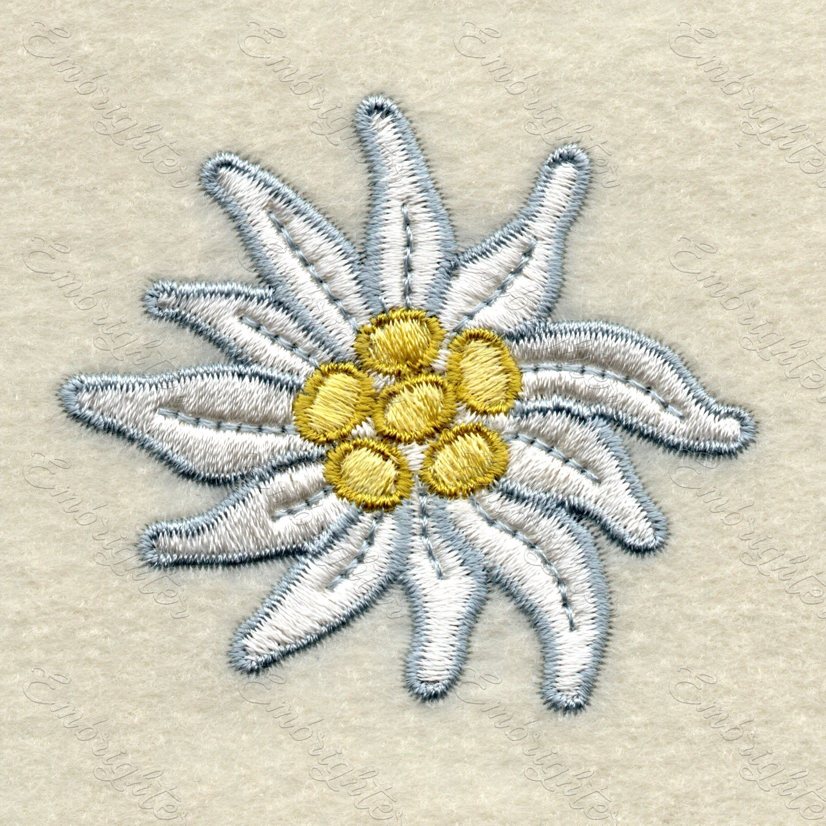 edelweiss flower machine embroidery design