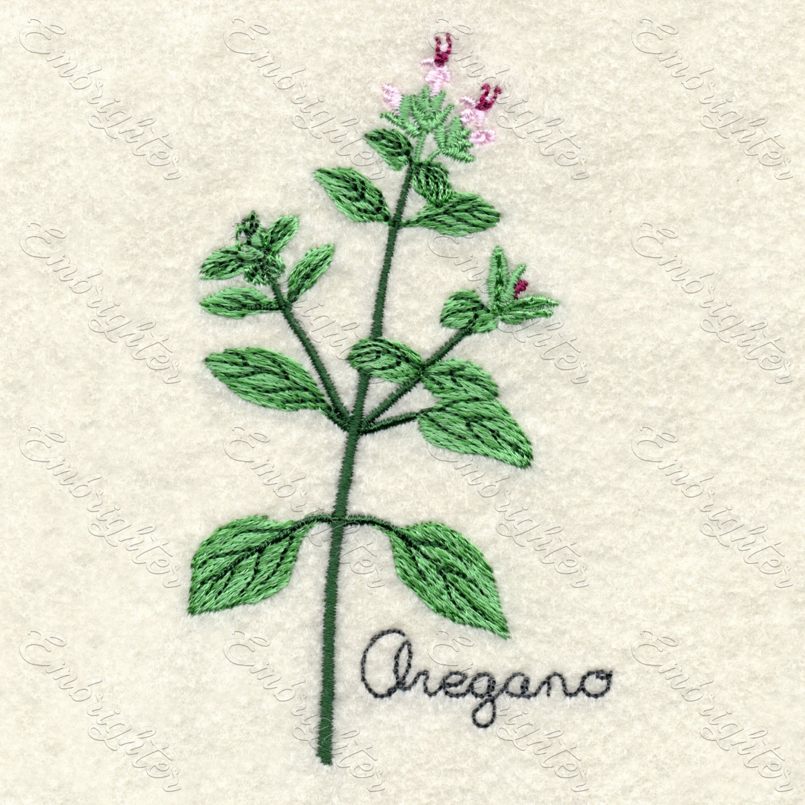 Machine embroidery design. Real looking oregano in two sizes.
