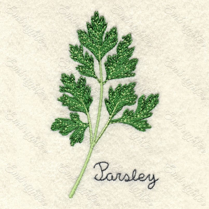 Machine embroidery design. Real looking parsley in two sizes. 
