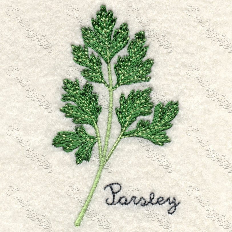 Machine embroidery design. Real looking parsley in two sizes. 