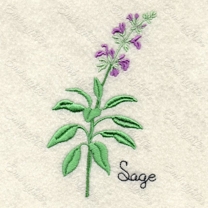 Machine embroidery design. Real looking sage in two sizes.