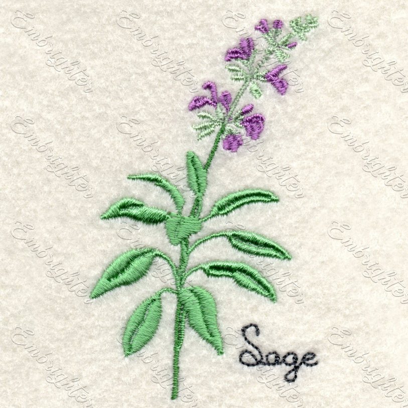 Machine embroidery design. Real looking sage in two sizes.