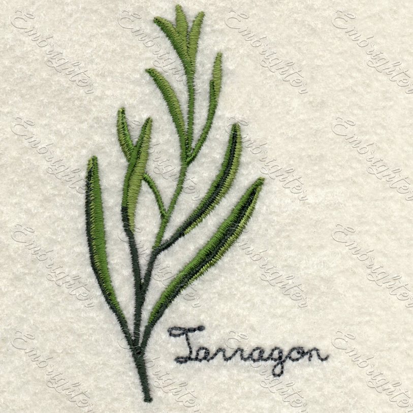Machine embroidery design. Real looking tarragon in two sizes. 