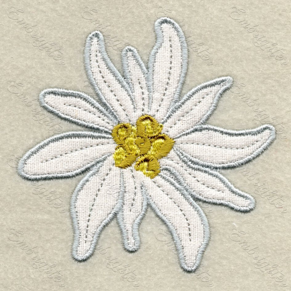 Applique edelweiss flower embroidery design