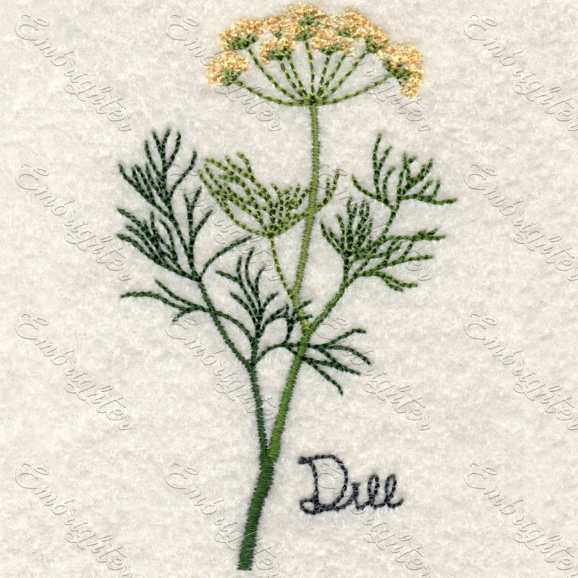 Dill Kräuter embroidery design small ( in German )