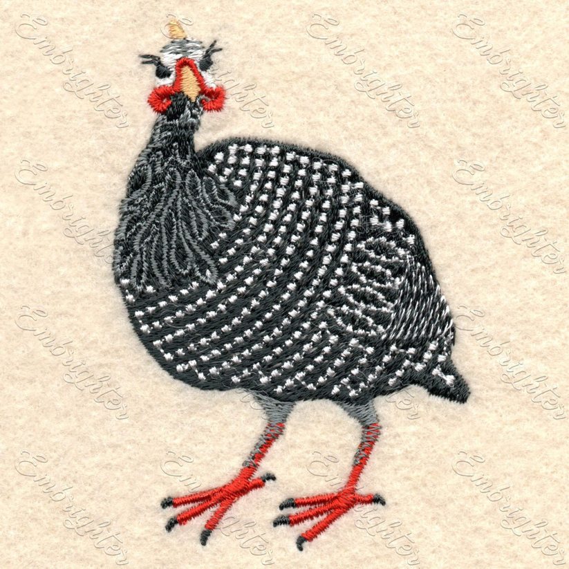 Guinea fowl embroidery design