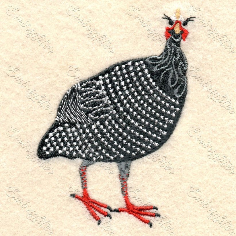 Guinea fowl embroidery design