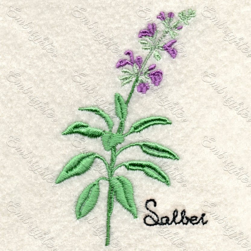 Salbei Kräuter embroidery design set in two sizes ( in German )